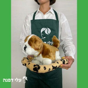 כלבלב נובח חום