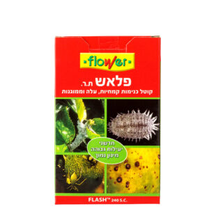 פלאש כנימות