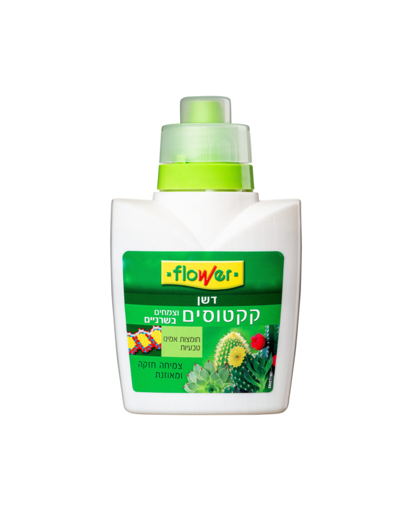 דשן לקקטוסים