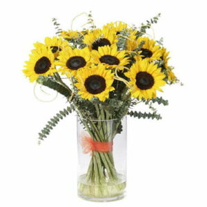 Hot Sunflowers