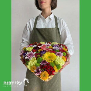 סילסולי הלב