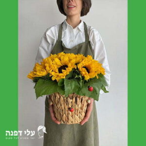 שי כפרי