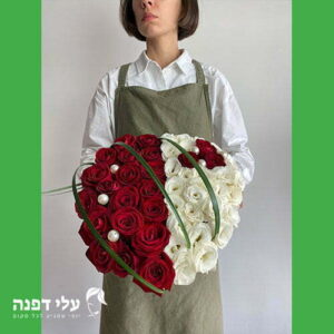 הלב החצוי