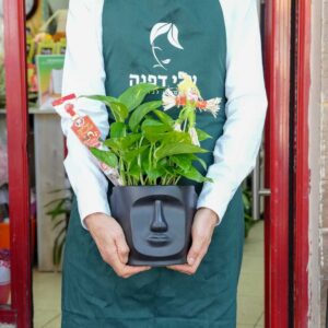ראש השנהב